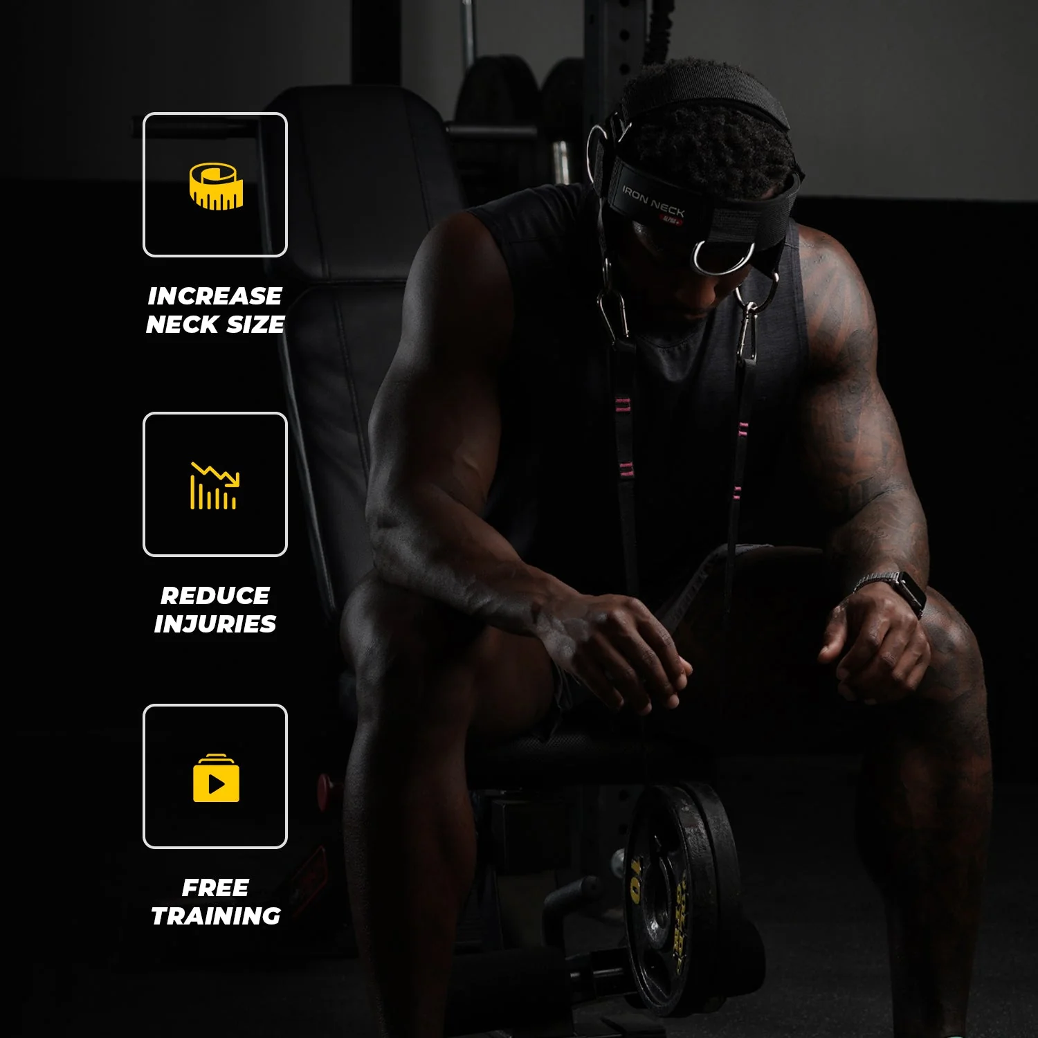 Alpha Harness Plus - Image 3