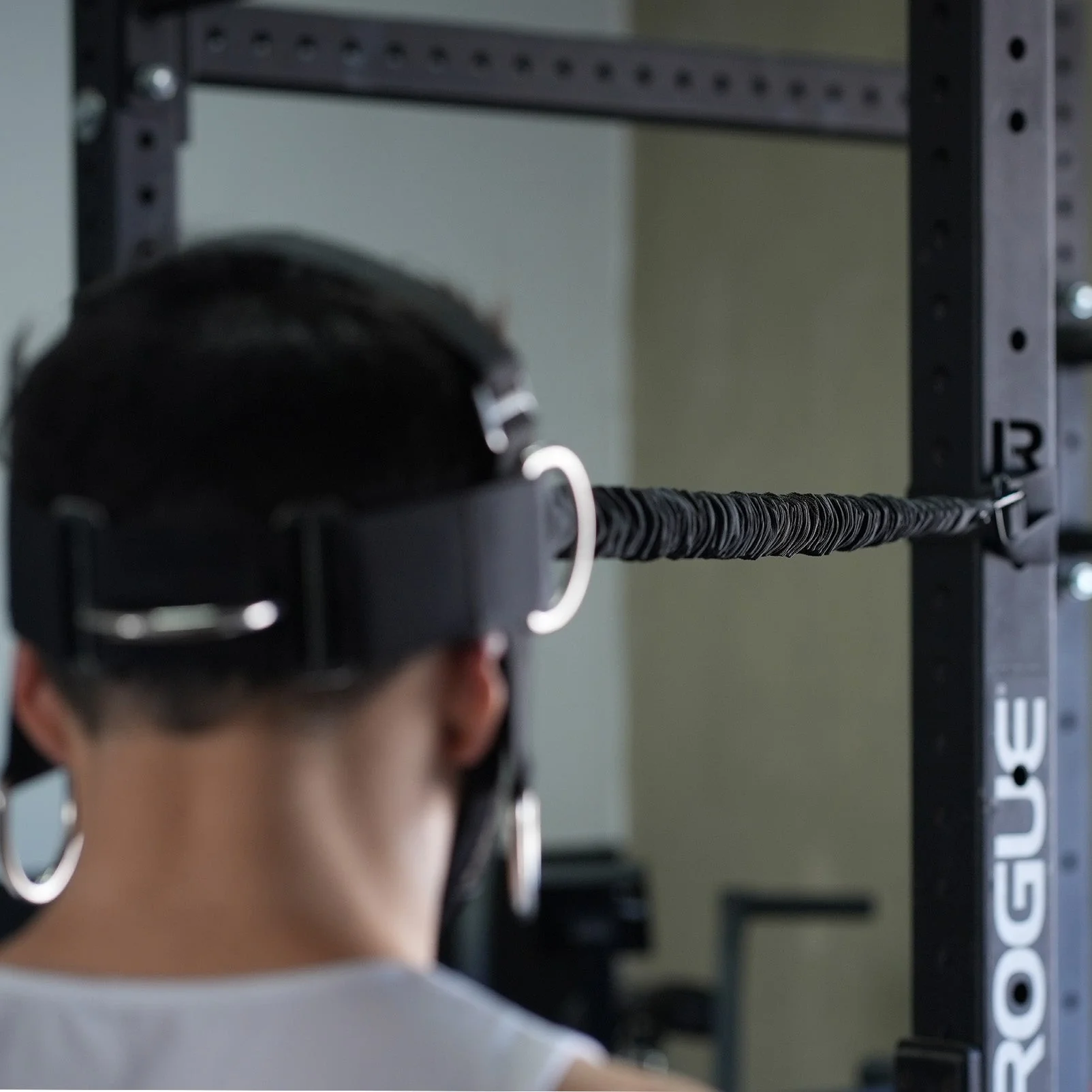 Alpha Plus Harness Strength Bundle - Image 10