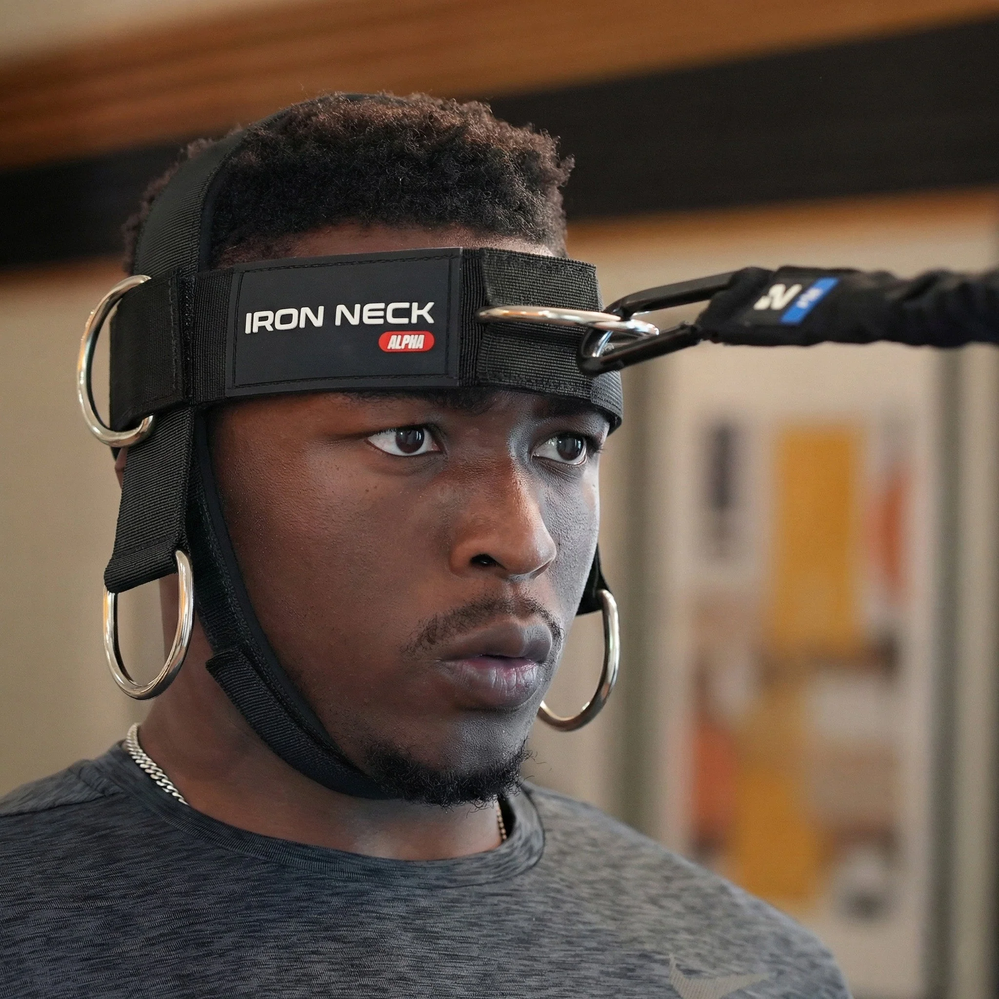 Alpha Plus Harness Strength Bundle - Image 5