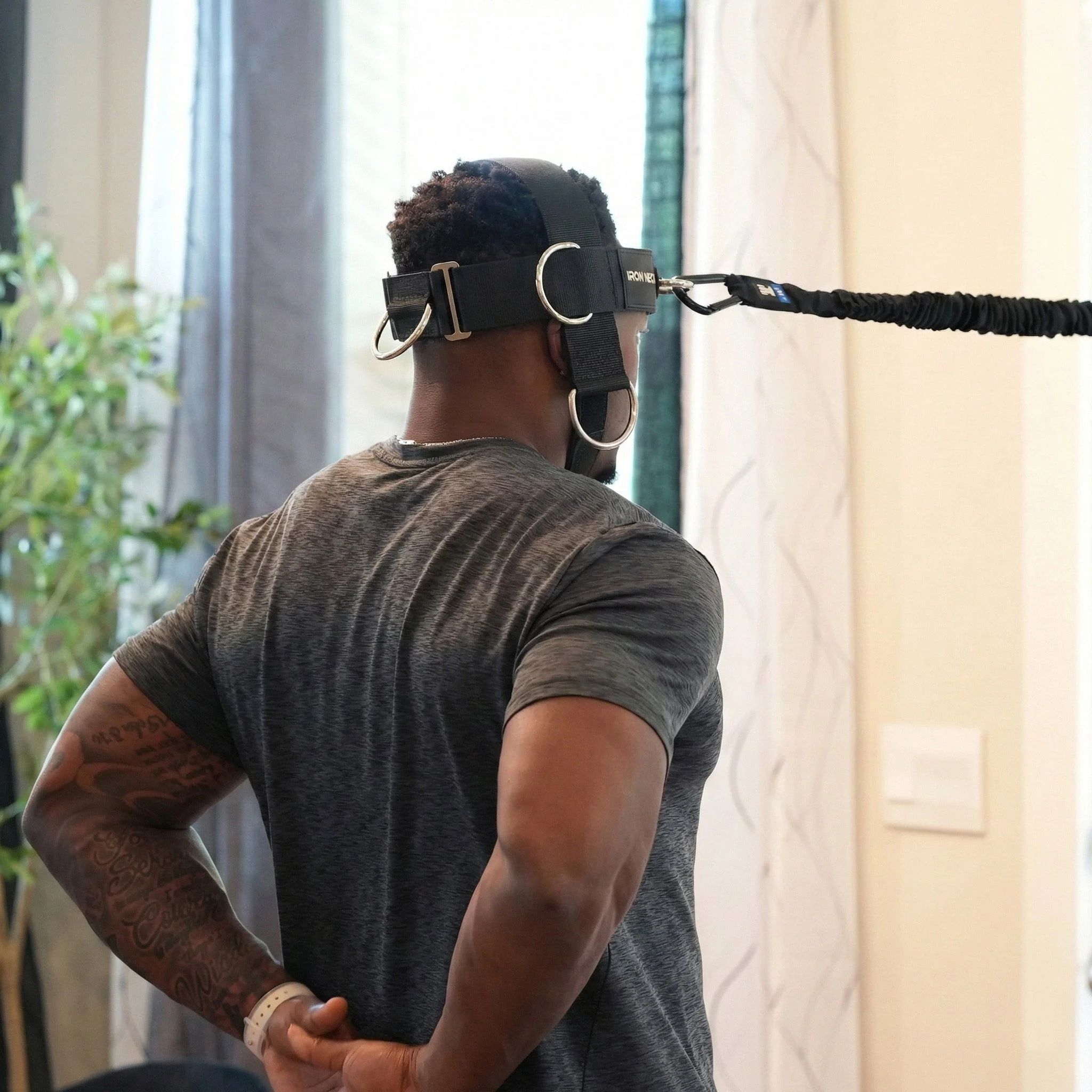 Alpha Plus Harness Strength Bundle - Image 6