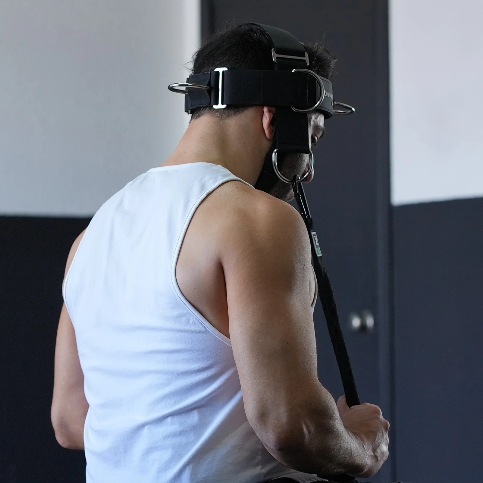 Alpha Plus Harness Strength Bundle - Image 9